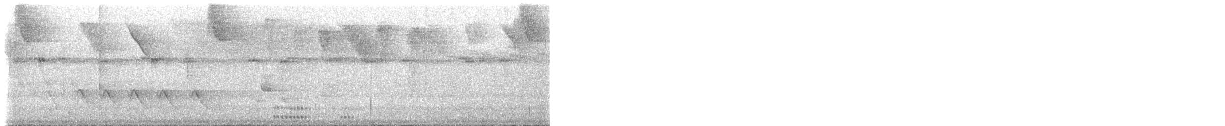 Colibri à bec noir - ML566658341