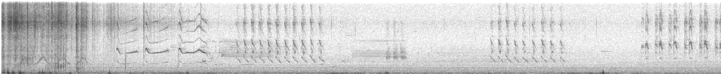 Northern Mockingbird - ML566666031