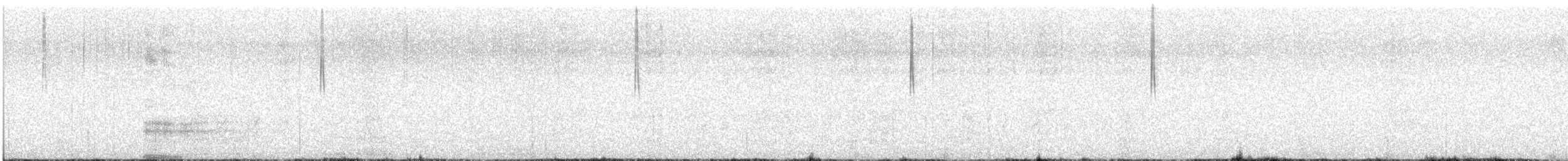 Troglodyte des marais - ML566681121