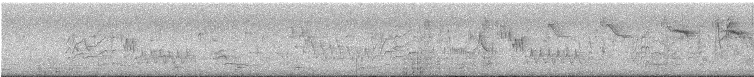 Northern House Wren - ML566690531