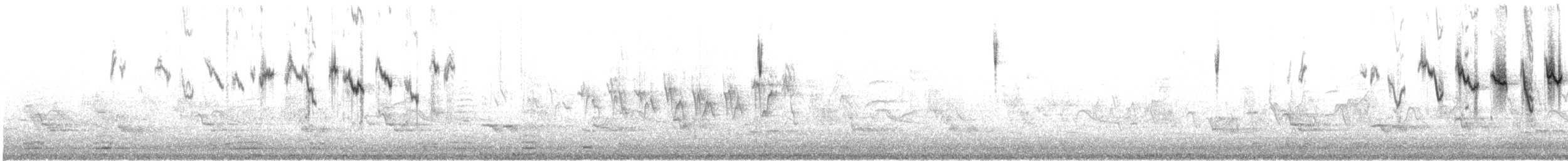 Nashville Warbler - ML566691581