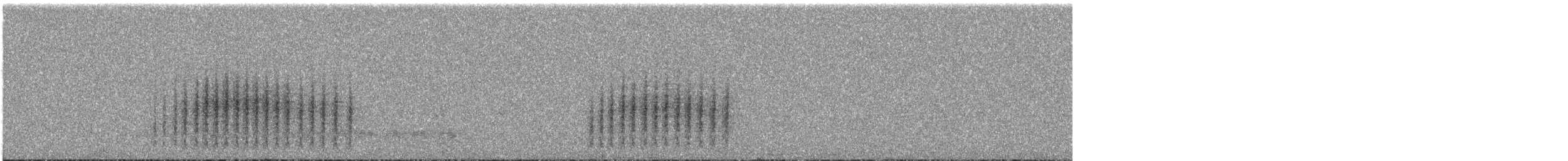 Northern House Wren - ML566717551