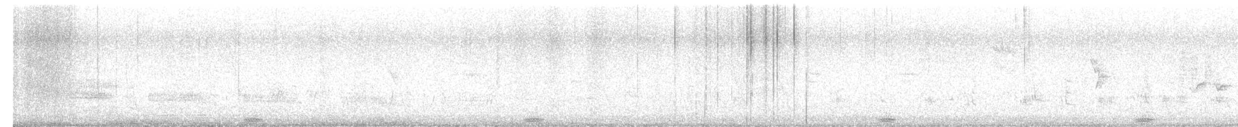 ヒメヨシゴイ - ML566741451