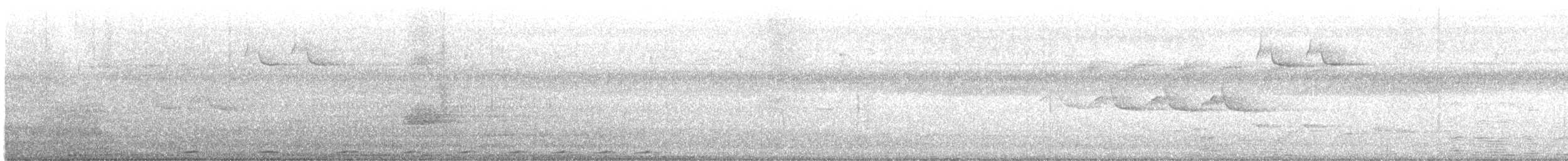 Phapitréron à oreillons blancs (leucotis) - ML566752631