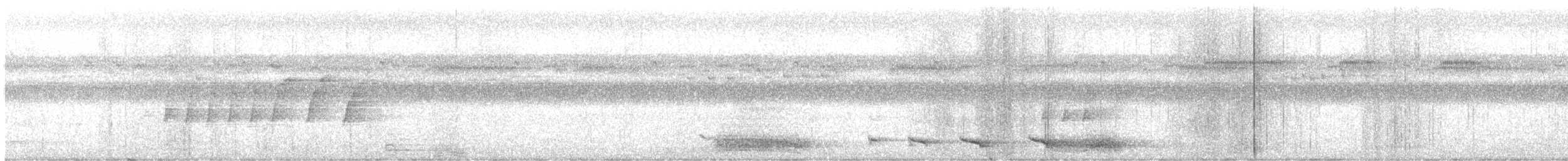 Ромблонская иглоногая сова - ML566756741