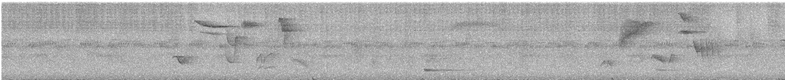 キノドヒトリツグミ（leucogenys） - ML566766441