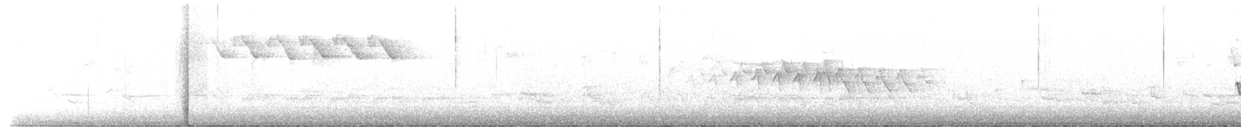 lesňáček černobílý - ML566782281
