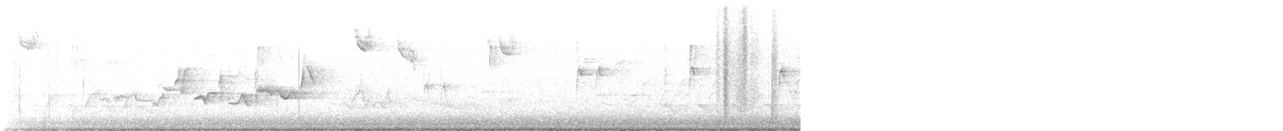 Eastern Warbling Vireo - ML566786591