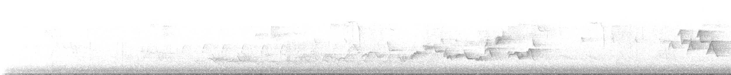 Eastern Warbling Vireo - ML566786601