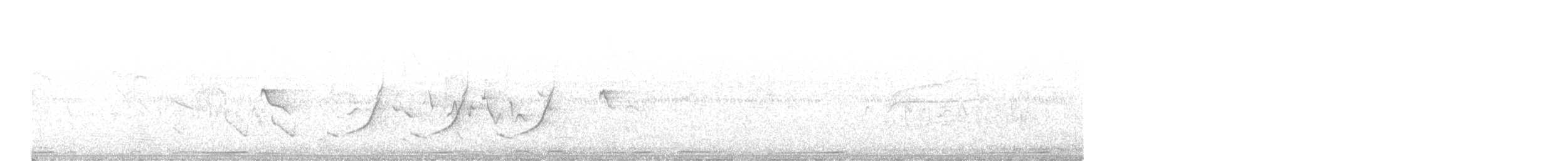 Талпакоті строкатоголовий - ML566820321