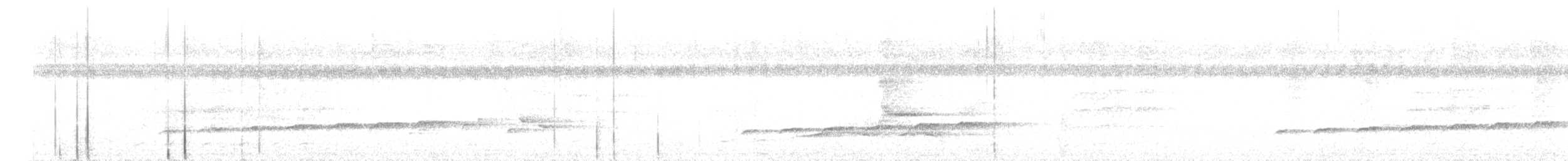 Fork-tailed Drongo-Cuckoo - ML566823991