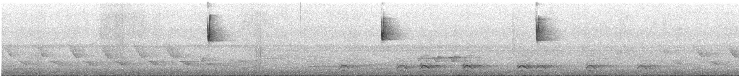 Protonoter Ötleğeni - ML566832241