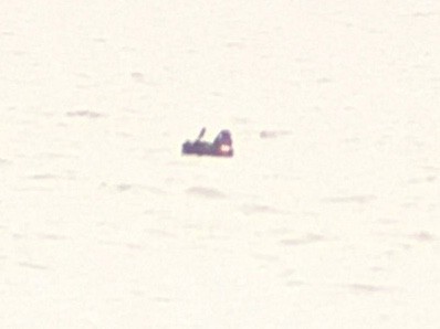 White-winged Scoter - ML566842351