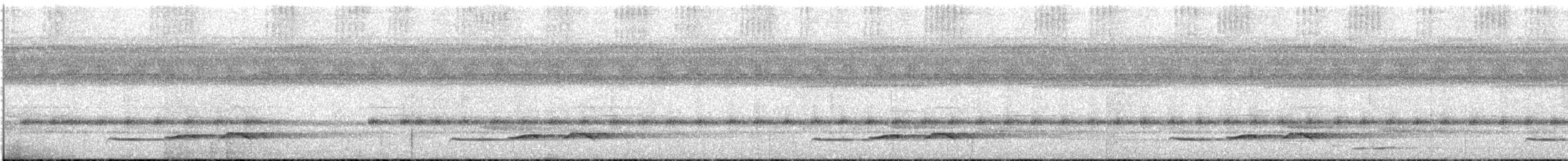 Dusky Long-tailed Cuckoo - ML566848981