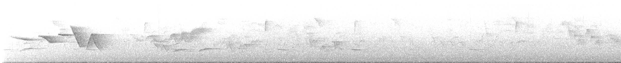 Swainson's Warbler - ML566895421