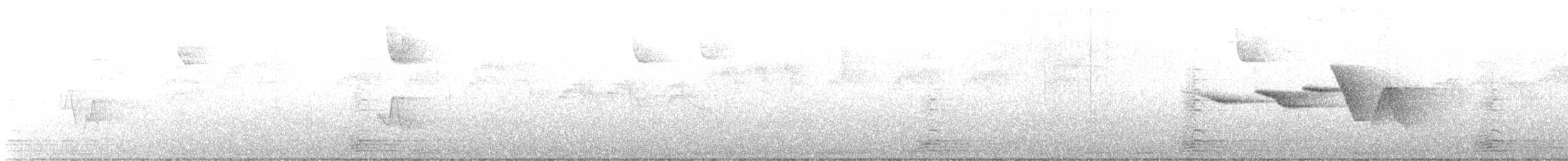 Swainson's Warbler - ML566895431