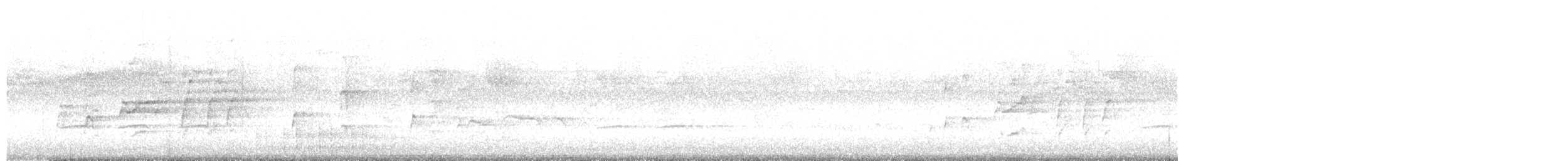 Kara Karınlı Islıkçı Ördek - ML566912211