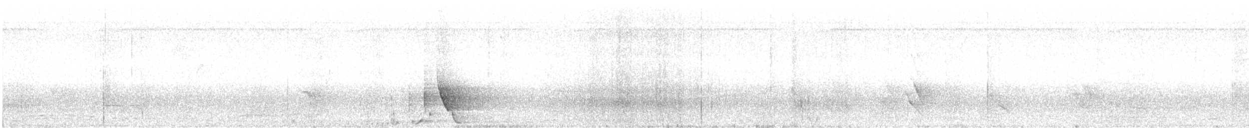 セアカオオツリスドリ（angustifrons グループ） - ML566955161