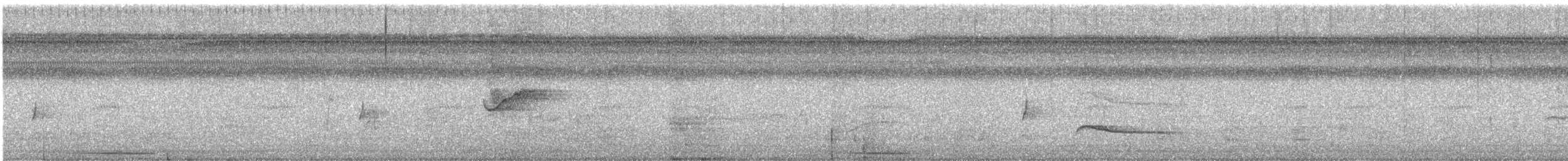 holub šedočelý - ML566979321