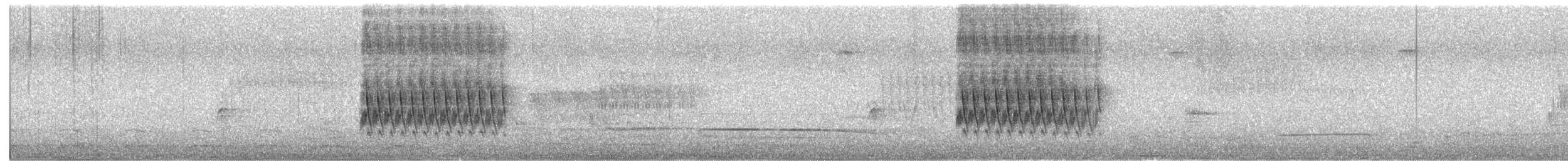 Spotted Towhee (oregonus Group) - ML567014741