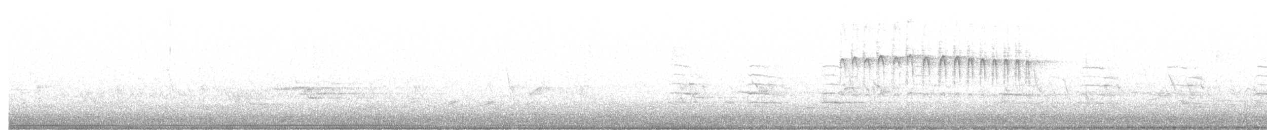 strakapoud osikový - ML567084861