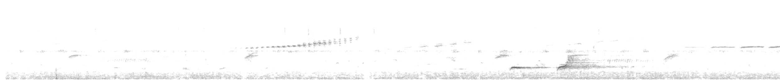 Northern Bobwhite - ML56713221