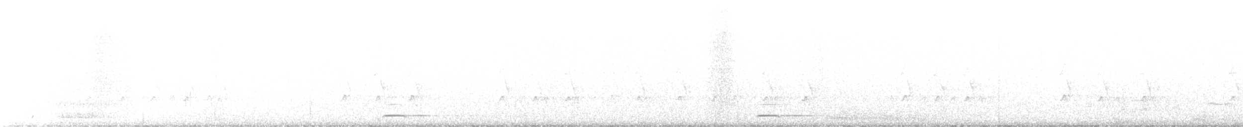 gnomugle (californicum gr.) (tusseugle) - ML567149511