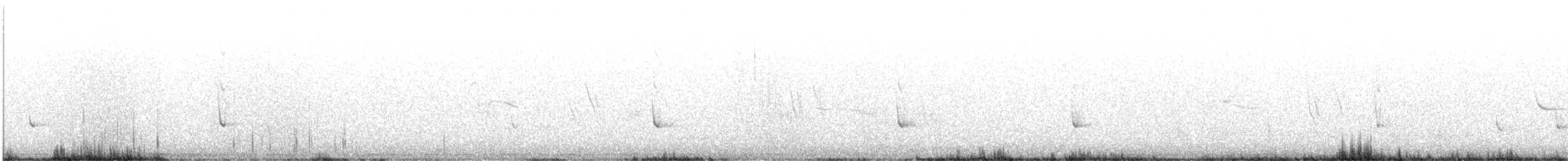 White-tailed Kite - ML567168311