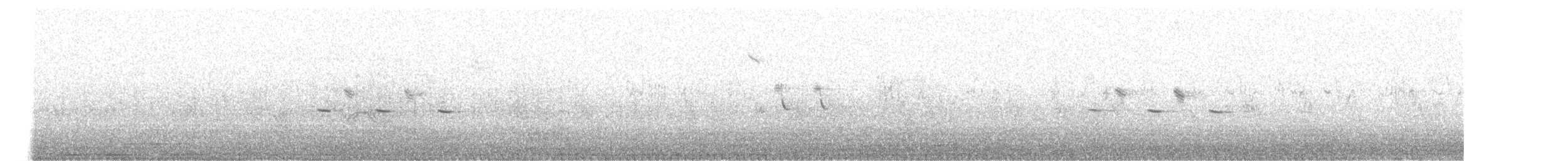 kjøttmeis - ML567202081