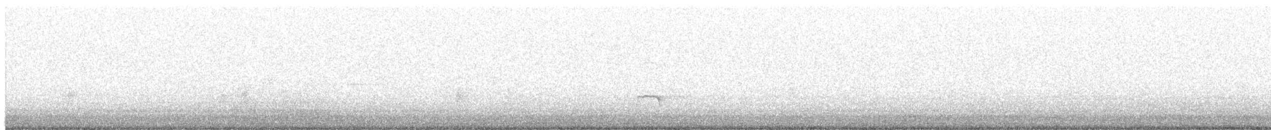 Eurasian Oystercatcher - ML567219701