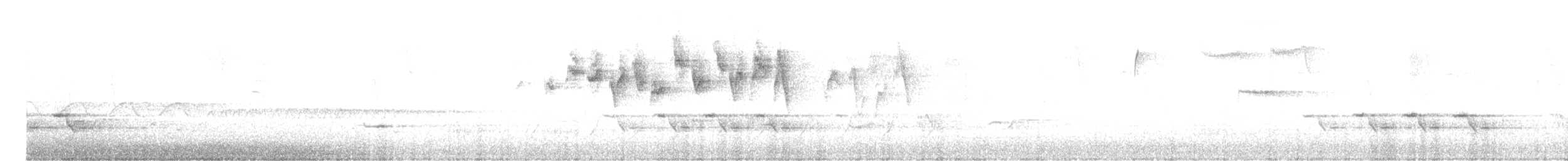 Nashville Warbler - ML567245551