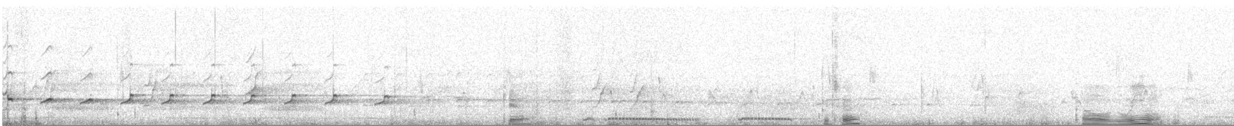 Indian Thick-knee - ML567252661