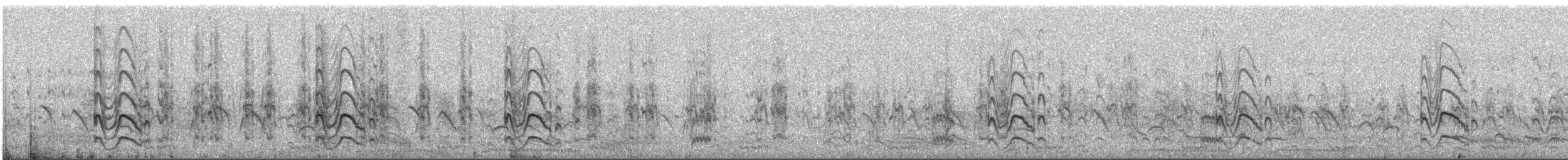 River Tern - ML567255761