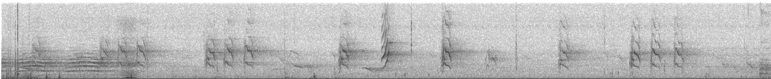 Alexandrine Parakeet - ML567257341