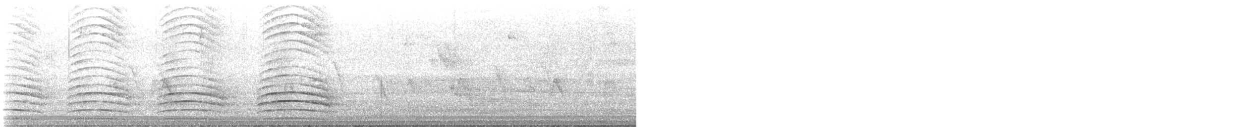 Indian Peafowl (Domestic type) - ML567271631