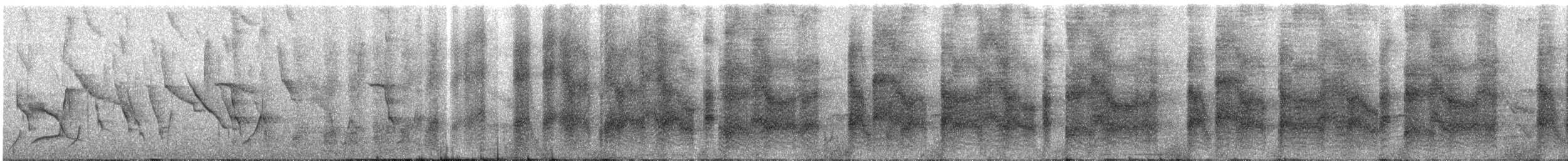 ヨコジマサボテンミソサザイ - ML567382301