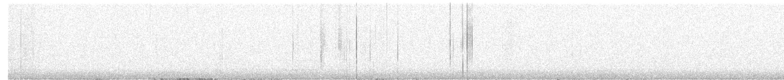 Pileated Woodpecker - ML567398131