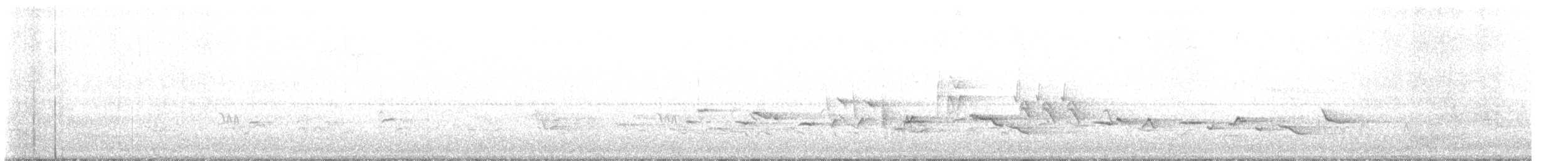 Oriole des vergers - ML567528261