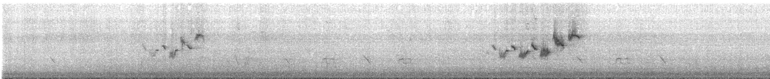 Black-throated Gray Warbler - ML567581851