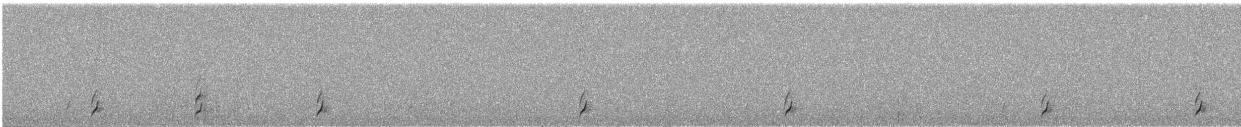 Swainson's Thrush - ML567600211