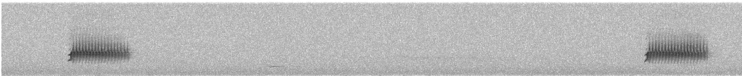 Spotted Towhee - ML567600821