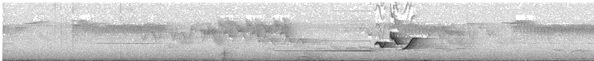 Горная широкохвостка - ML567607961