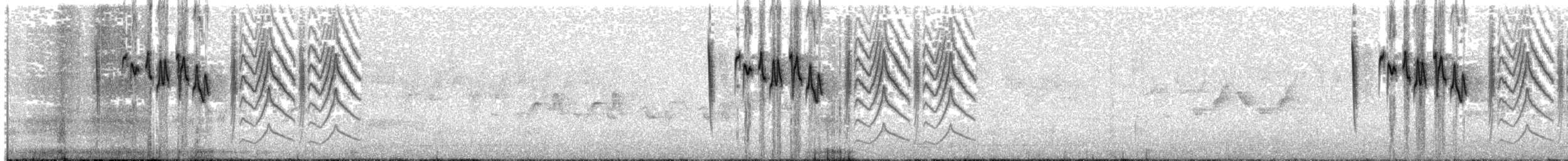 Рыжеголовая широкохвостка - ML567609131