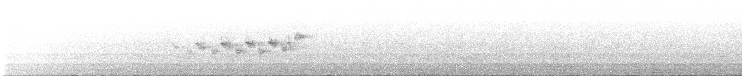 Black-throated Gray Warbler - ML567610371