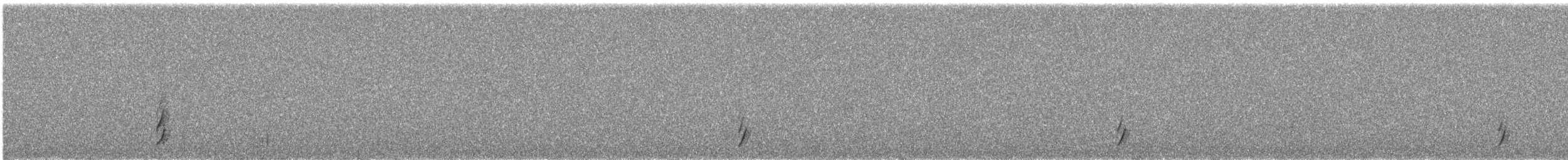 Swainson's Thrush - ML567611791