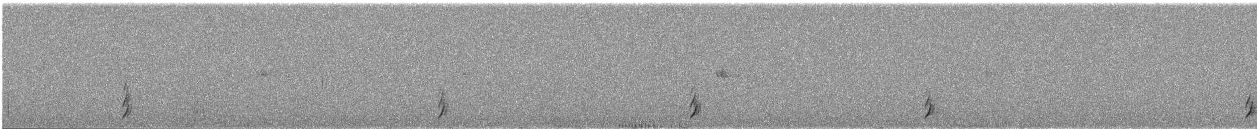 Swainson's Thrush - ML567612151