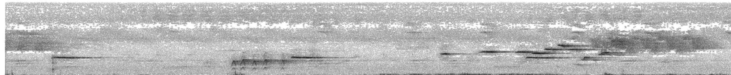 Kısa Kuyruklu Napoter - ML567626381
