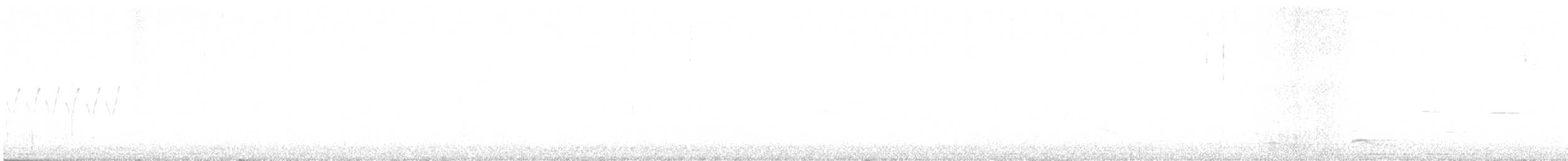 Pine Warbler - ML567656821
