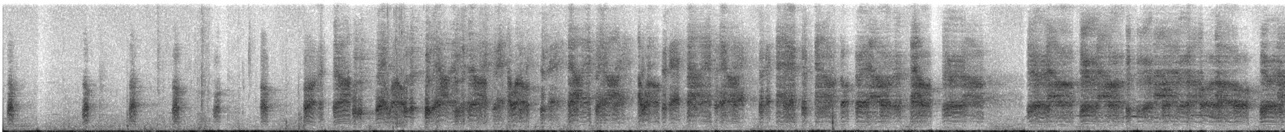 ヨコジマサボテンミソサザイ - ML567665901