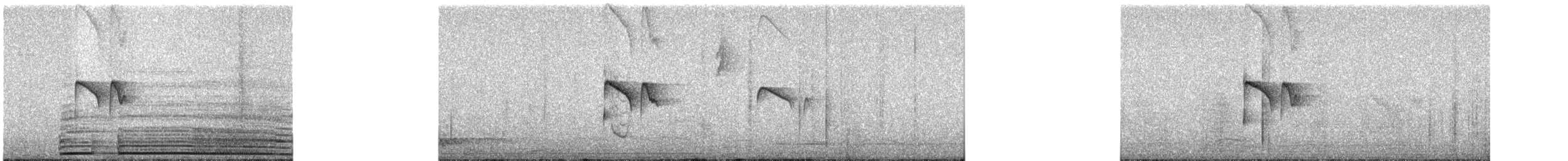 Tumbesschnäppertyrann - ML567670621